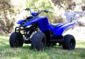 2009 Yamaha YFM50 photo